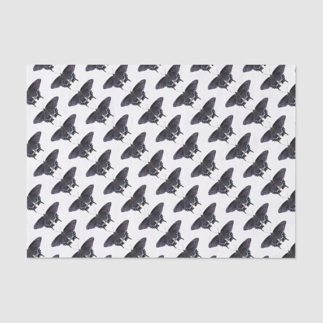 Schwarze Fracks aus Papiergewebe Seidenpapier (Vorderseite)