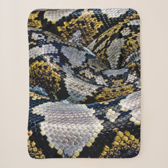 Schwarze, gelbe und graue Python Sherpadecke (Vorderseite)