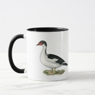 Schwarze gescheckte Ente Muscovy Tasse
