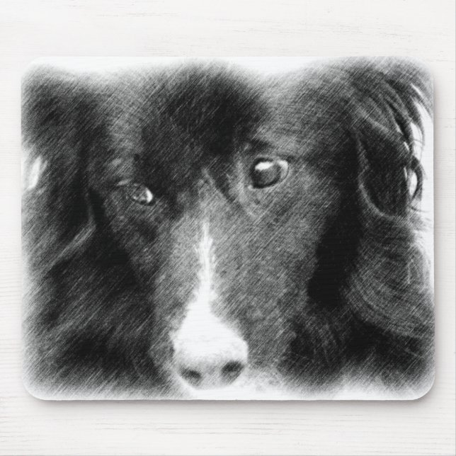 Schwarze Grenze - Collie Mousepad (Vorne)