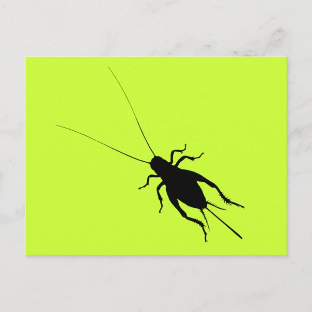 Schwarze Grille Postkarte (Vorderseite)
