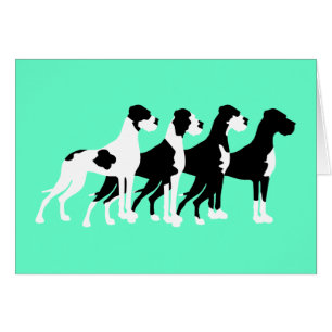 Schwarze Große Dänen