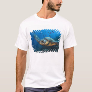 Schwarze (Grüne) Meeresschildkröte (Chelonia agass T-Shirt
