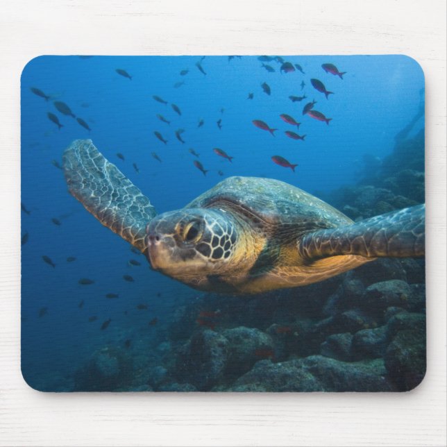 Schwarze (grüne) Schildkröte (Chelonia agassizi) Mousepad (Vorne)