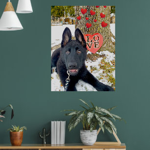 Schwarze GSD-Welpe mit Herz & Liebe Valentine Poster