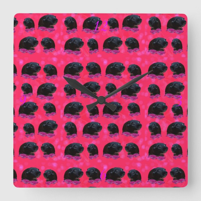 Schwarze Guinea Schweine auf Hübschen rosa Rosen Quadratische Wanduhr (Vorderseite)