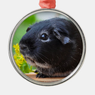 Schwarze Guinea Schweinefleisch Keramik Ornament