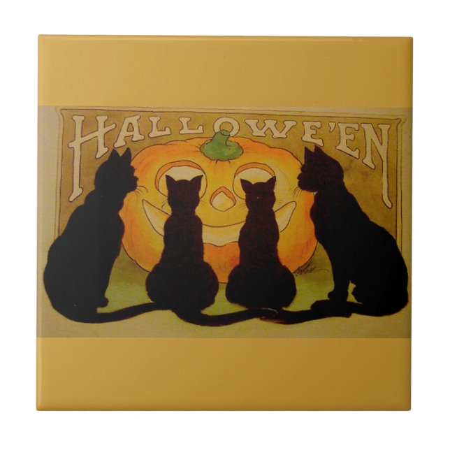 Schwarze Halloween-Katzen und Kürbis Fliese (Vorderseite)