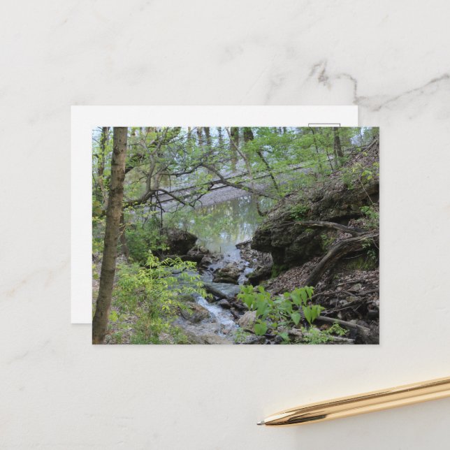 Schwarze Hawkfedern in Burlington, IA Down Hill Postkarte (Vorderseite/Rückseite Beispiel)