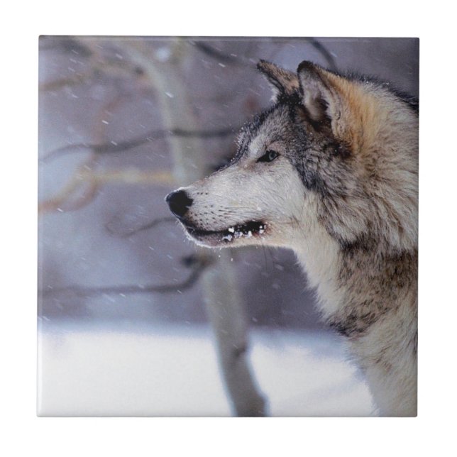 Schwarze heisere Hundeprodukte Fliese (Vorderseite)