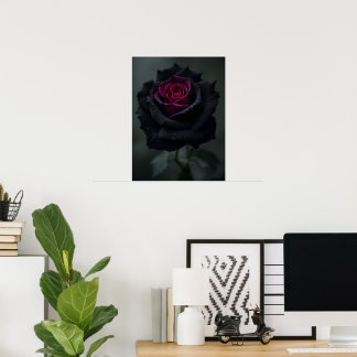 Schwarze Herzrose Poster