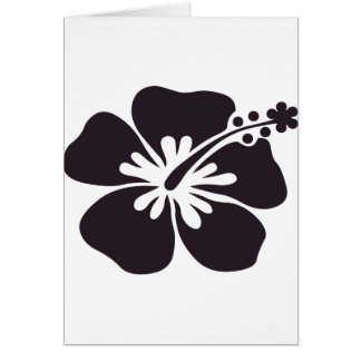 schwarze Hibiskus-Blume