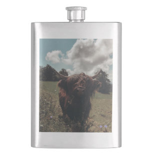 Schwarze Highland-Schottlandkuh weidet vintage ret Flachmann