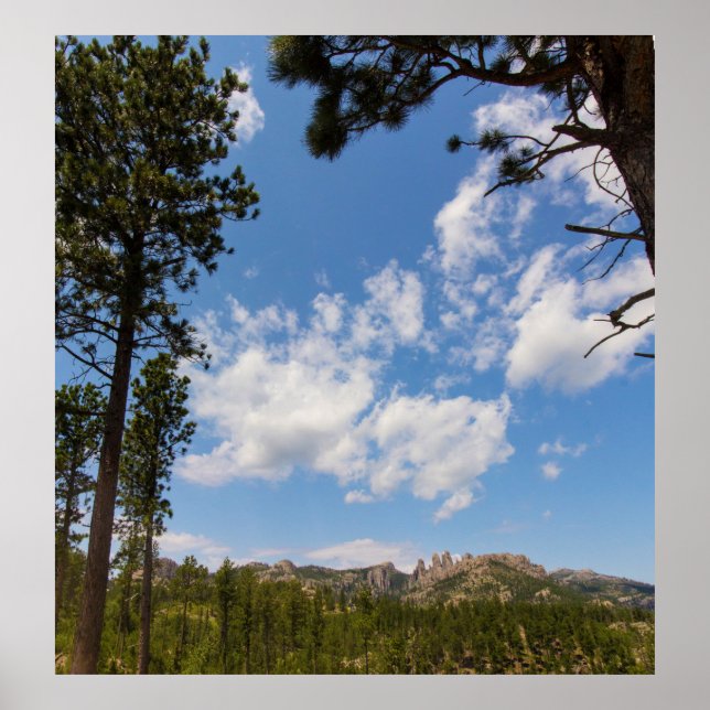 Schwarze Hügel Gerahmt von Bäumen, Süddakota Poster (Vorne)