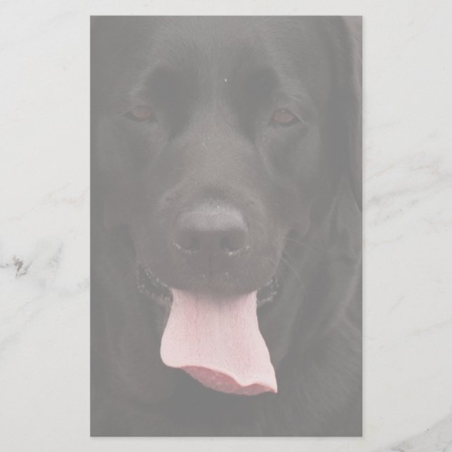 Schwarze Hundegesicht Briefpapier (Vorderseite)