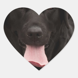 Schwarze Hundegesicht Herz-Aufkleber