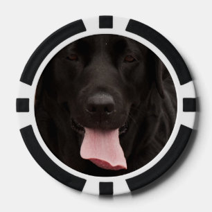 Schwarze Hundegesicht Pokerchips
