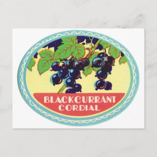 Schwarze Johannisbeere Kordial Dunkle Berries Vint Postkarte