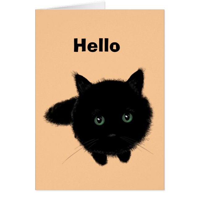 Schwarze Katze (Vorne)