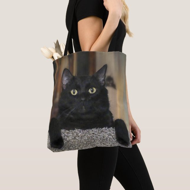 Schwarze Katze (Von Nahem)
