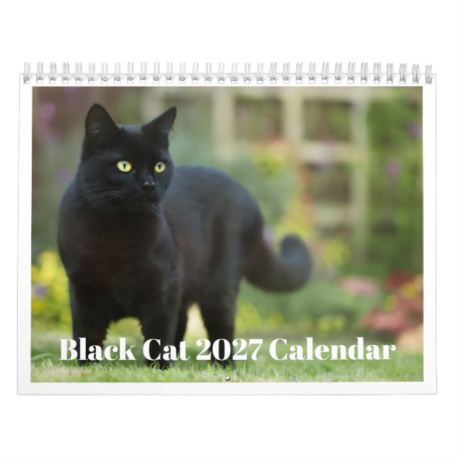 Schwarze Katze 2027 Kalender (Titelbild)
