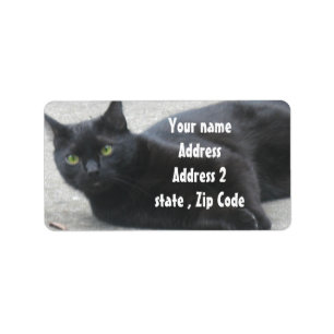 Schwarze Katze Adressaufkleber