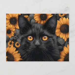 Schwarze Katze auf dem Sonnenblumenfeld Postkarte