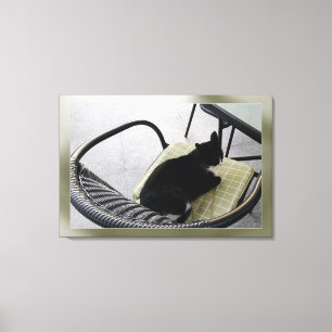 Schwarze Katze auf der Terrasse Leinwanddruck