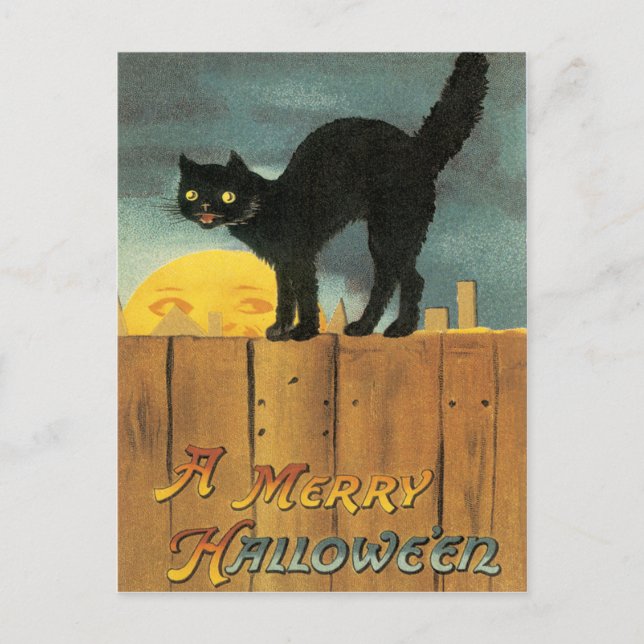 Schwarze Katze auf einer Vintagen Postkarte (Vorderseite)