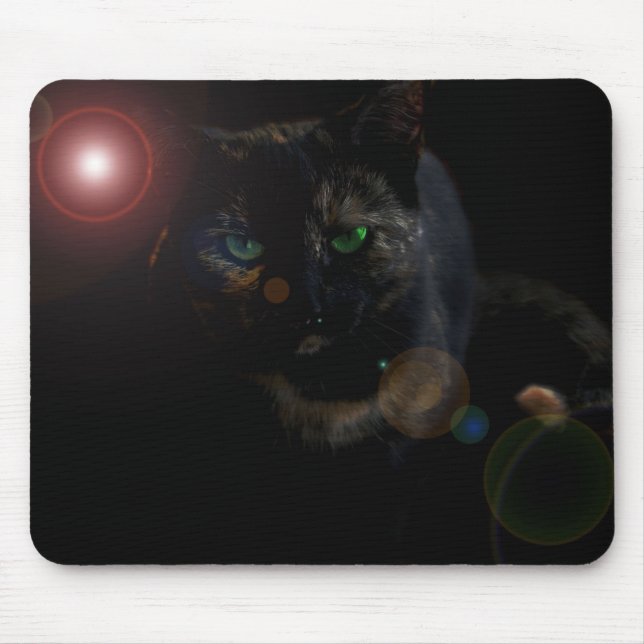 schwarze Katze auf schwarzer Mauspad (Vorne)