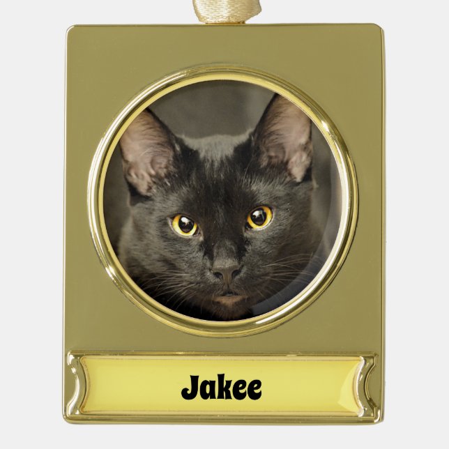 Schwarze Katze Banner-Ornament Gold (Vorderseite)