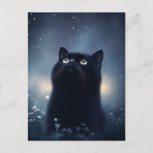 Schwarze Katze blickt hinauf in den sternenklaren  Postkarte