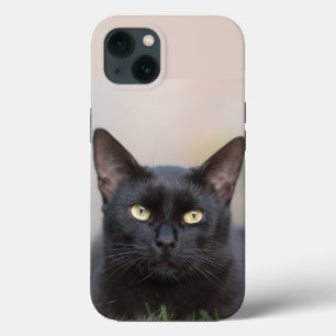 schwarze Katze Case-Mate iPhone-Hülle iPhone Hülle