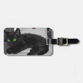 Schwarze Katze des Prunella, die auf Laptop Gepäckanhänger