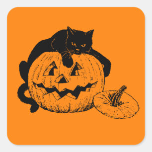 Schwarze Katze, die auf einen geschnitzten Kürbis Quadratischer Aufkleber