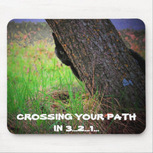 Schwarze Katze, die Ihren Weg in 3… 2… 1… Me Mousepad