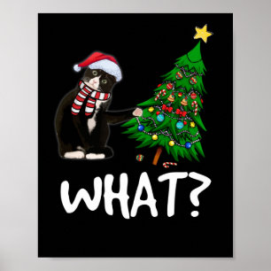 Schwarze Katze, die Weihnachtsbaum über Katzenwelt Poster