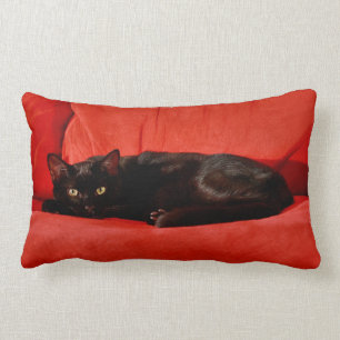 Schwarze Katze Edgar Lendenkissen