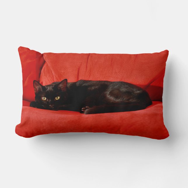 Schwarze Katze Edgar Lendenkissen (Vorderseite)