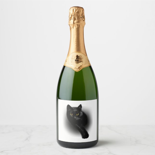 Schwarze Katze Feilenägel (Vorderseite)