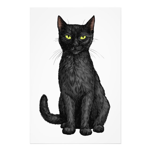 Schwarze Katze Fotodruck (Vorne)