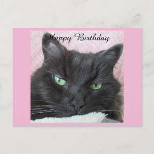 Schwarze Katze Geburtstagspostkarte Postkarte