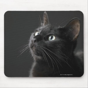 Schwarze Katze gegen schwarzen Hintergrund, Mousepad