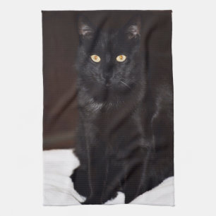Schwarze Katze Geschirrtuch