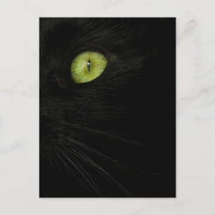 Schwarze Katze, grünes Auge Postkarte