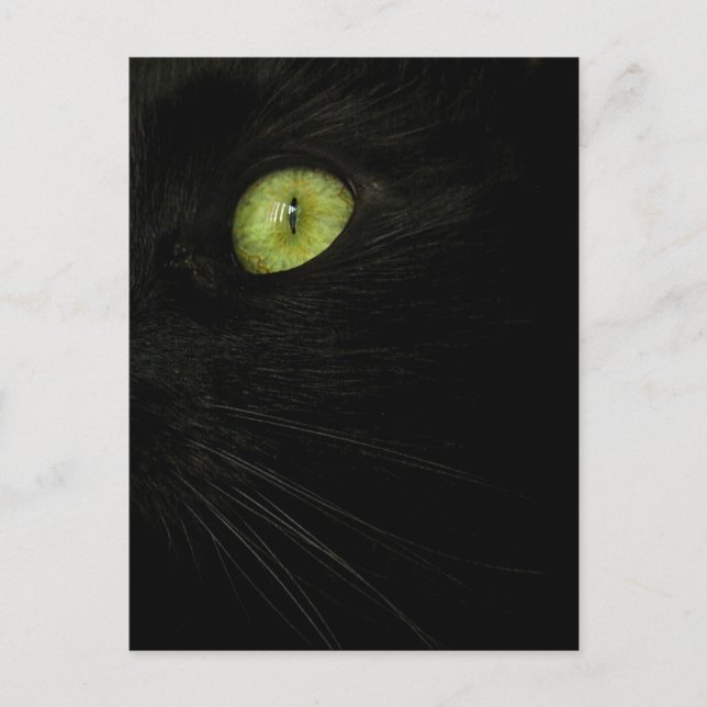 Schwarze Katze, grünes Auge Postkarte (Vorderseite)