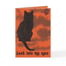 Schwarze Katze Halloween