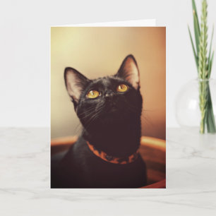 Schwarze Katze Halloween Karte