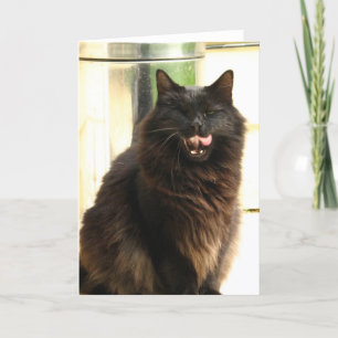 Schwarze Katze Halloweens mit einem Auge Karte