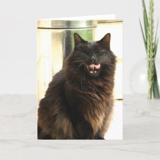 Schwarze Katze Halloweens mit einem Auge Karte